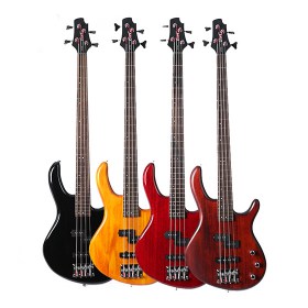 Electric Bass Guitars