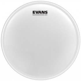 Evans-B12UV1
