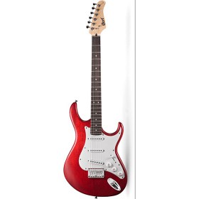 cort-g100-opbc